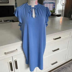 Michael Kors Sweet Flounce Sleeve w Gathered Neckline Dress Blue Sz M NWOT